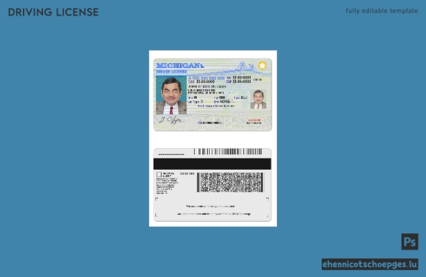USA Michigan Führerschein Beispielvorschau